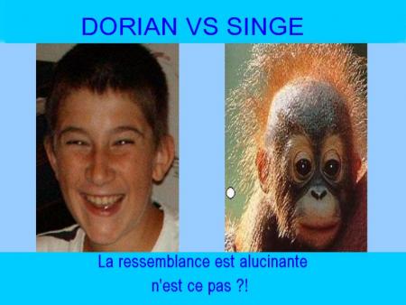 dorian / singe