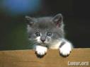 fais gaffe toi !!