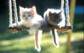 c'est les vacances !! cooooooooool !!! loul (2)